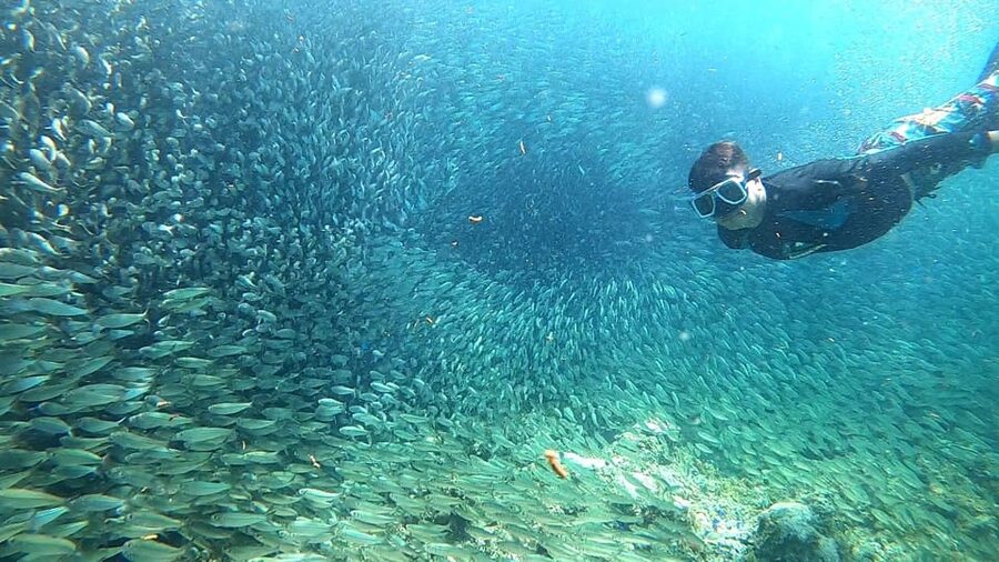 Cebu: Moalboal Snorkeling, Mantayupan Falls & ATV Adventure - Barili ATV tracks, hills, and muddy roads