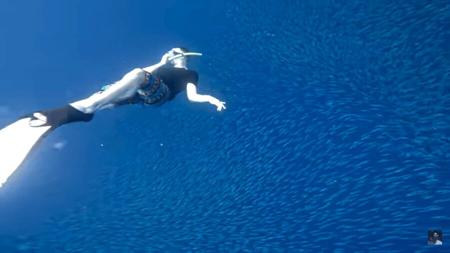 Cebu: Oslob Whale Shark and Moalboal Snorkeling Tour - The road to Moalboal changes the mood
