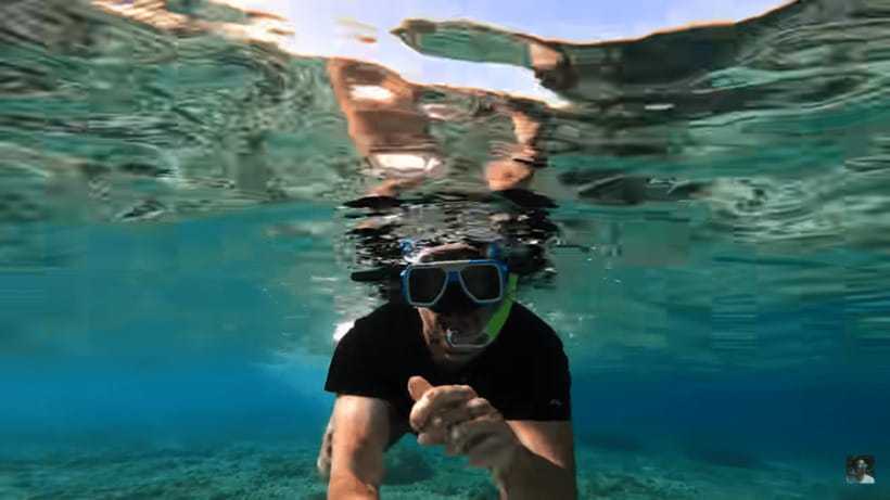 Cebu: Oslob Whale Shark and Moalboal Snorkeling Tour - Is $117 a fair price?