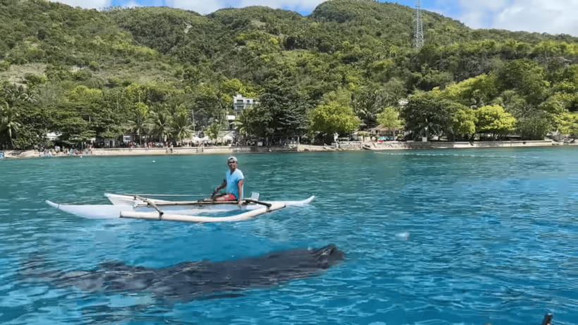 Cebu: Oslob Whale Shark and Moalboal Snorkeling Tour - The early Oslob pickup sets the tone