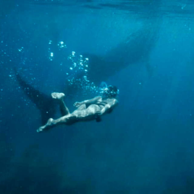 Cebu: Oslob Whale Shark, Sumilon, Ruins, Simala Church - Why this Cebu day trip works
