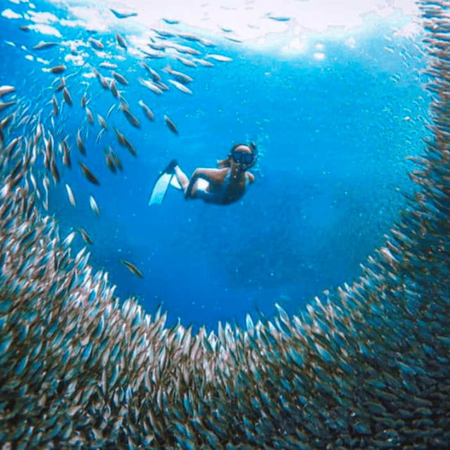Cebu: Oslob Whale Shark, Sumilon, Ruins, Simala Church - Sumilon Island’s white sandbar
