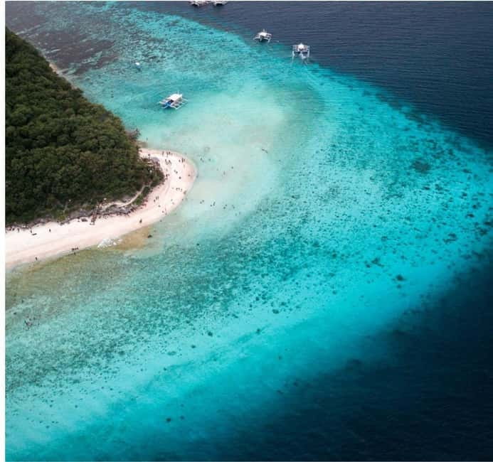 Cebu: Oslob Whale Shark Swim and Sumilon Island Day Tour - Meeting the Oslob whale sharks
