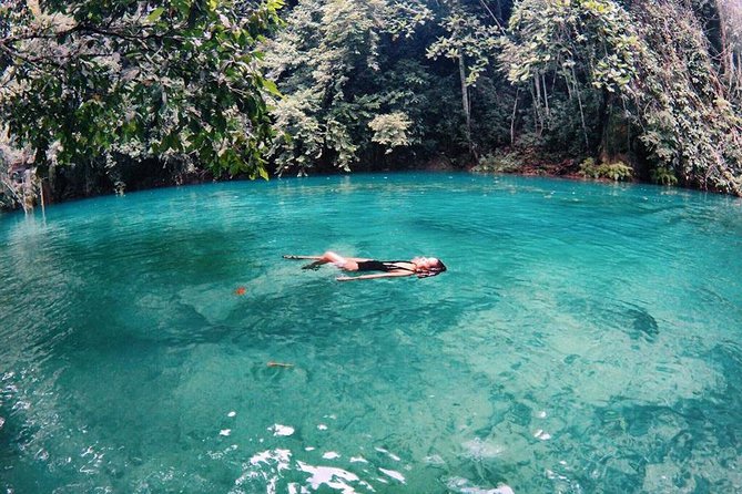 Cebu: Oslob Whale Shark Swimming and Kawasan Falls Canyoneering - Guides Matter More Than the Brochure