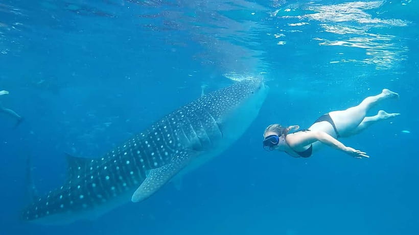 Cebu:Oslob Whale Shark Swimming & Kawasan Falls Canyoneering - Breakfast in Oslob, a small but necessary pause
