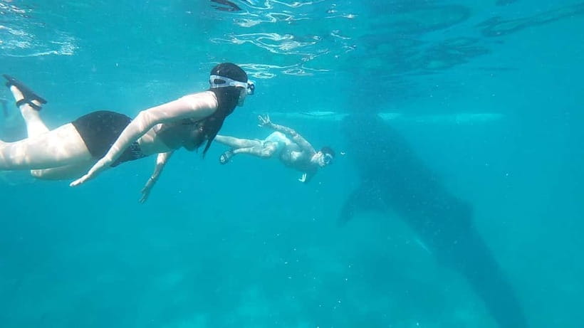 Cebu:Oslob Whale Shark Swimming & Kawasan Falls Canyoneering - Reaching Kawasan Falls after the jumps