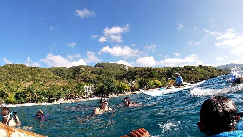 Cebu Oslob: Whale Shark Watching Experience - Who should book this day trip