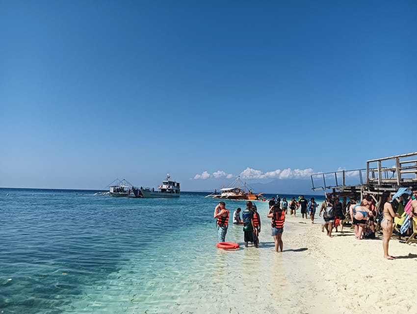 Cebu: Oslob Whale Sharks, Tumalog Falls & Sardine Snorkeling - Should you book the Cebu whale shark and sardine tour?