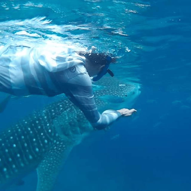 Cebu: Oslob Whaleshark Experience Shared Tour - The long road from Cebu City to Oslob