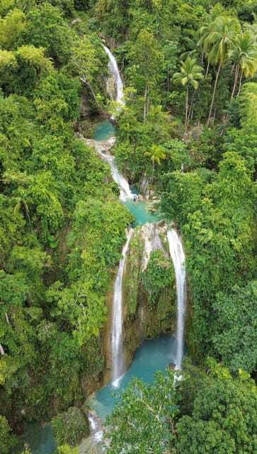 Cebu Oslob Whaleshark, Moalboal Sardines Run&Inambakan Falls - Guides, safety, and the human side of the trip
