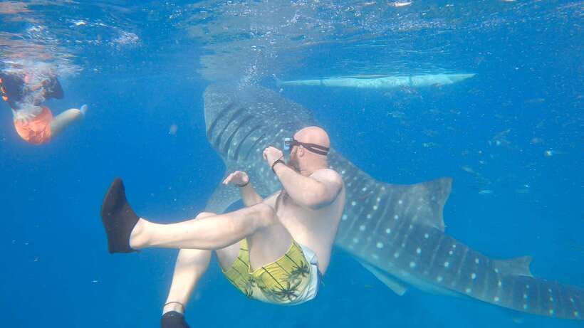 Cebu: Oslob Whaleshark & Sardines Run Snorkeling Day Tour - Why this Cebu day tour works
