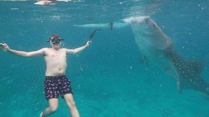 Cebu: Oslob Whaleshark & Sardines Run Snorkeling Day Tour - Why the clear Oslob water matters