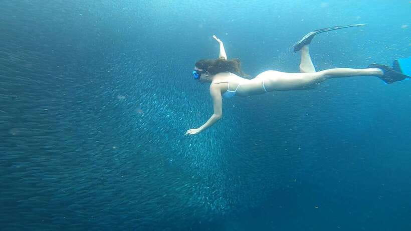 Cebu: Oslob Whaleshark & Sardines Run Snorkeling Day Tour - The long transfer to Moalboal