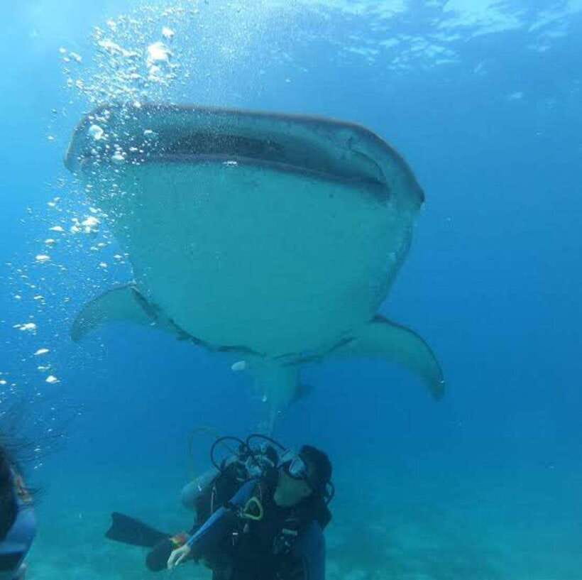 Cebu: Oslob Whaleshark Scuba Diving & Sumilon Sanctuary - Coffee and breakfast after the water