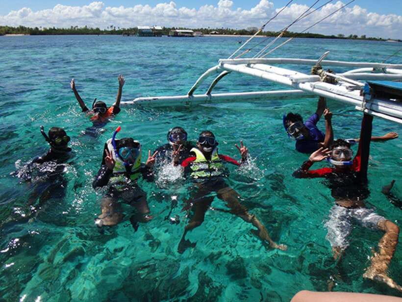 Cebu: Oslob Whaleshark Scuba Diving & Sumilon Sanctuary - Sumilon Sanctuary’s coral gardens
