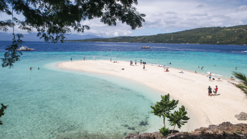 Cebu Oslob Whaleshark, Tumalog Falls&Sumilon Island(Private) - Practical tips for a smoother day