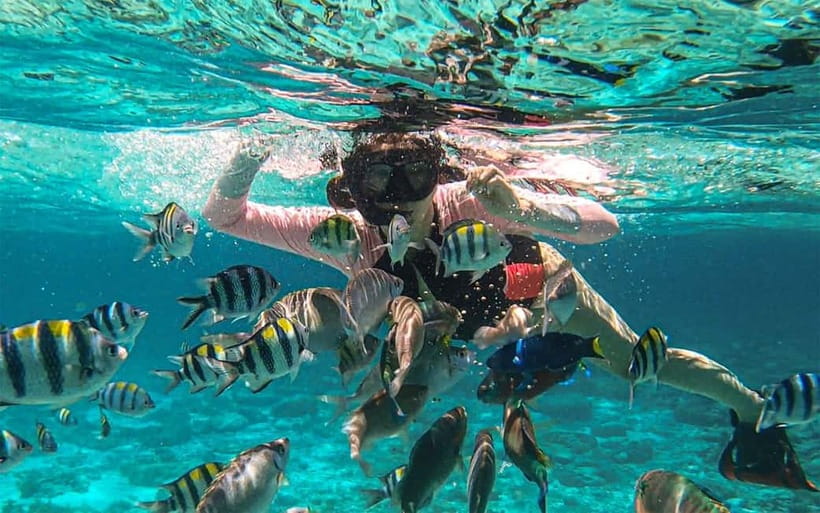 Cebu: Private Mactan Island Hopping Tour with Lunch - Key points before you book
