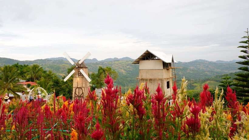 Cebu: Private Panoramic Tour with Dinner - Why this five-hour Cebu outing works