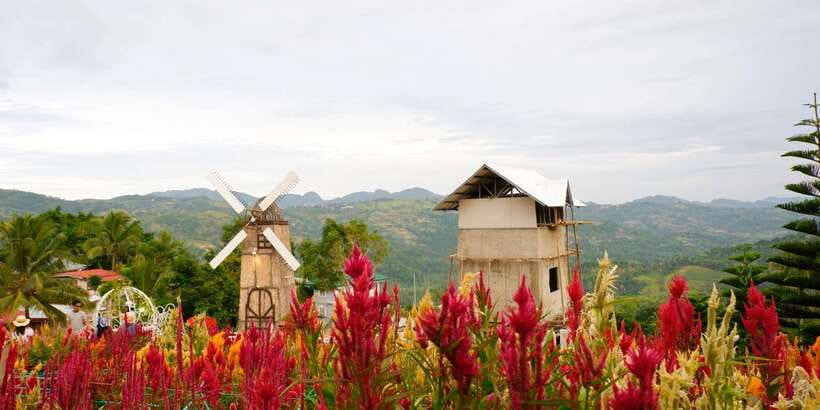 Cebu: Private Panoramic Tour with Dinner - Guide quality and the small-group setup