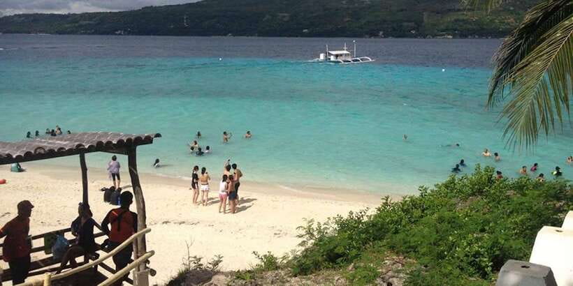 Cebu: Private Sumilon Island & Optional Whale Shark Swim - What to bring for a smoother day