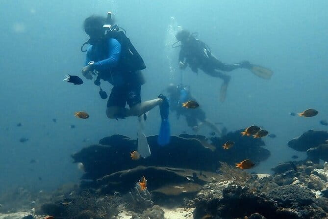 Cebu Private Tour 3 Islands Hopping Gilutungan Caohagan Nalusuan - What the private format changes