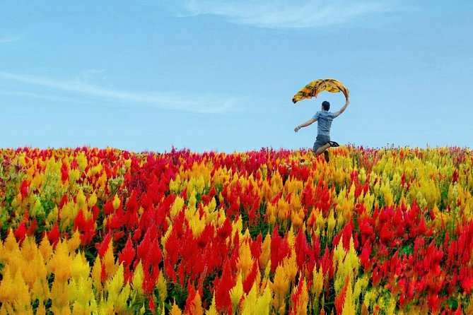 Cebu: Private Twin City Tour +Temple of Leah + Sirao Flower Farm - From pasalubong shopping to Cebu’s oldest landmarks