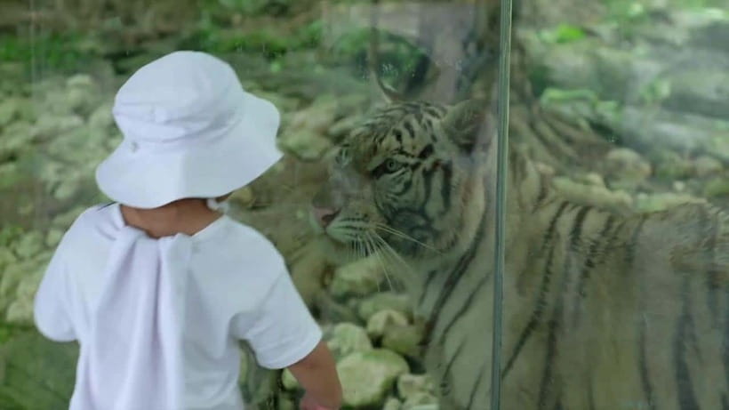 Cebu Safari & Adventure Park: Wildlife Tour with Transfers - Shows, conservation, and the botanical gardens