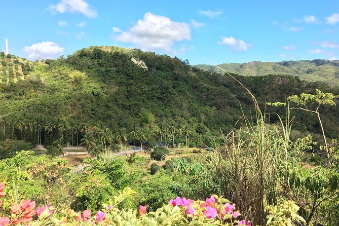 Cebu Safari and Adventure Park - Why the Cebu Safari day works well