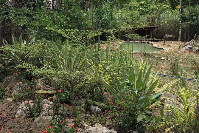 Cebu Safari and Adventure Park - Lunch choices and the real cost of the day
