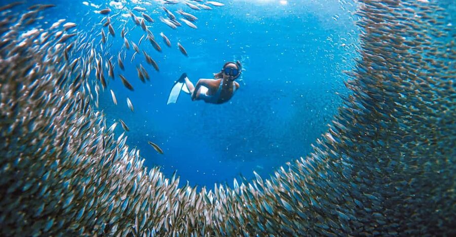 Cebu: Sardine Run Snorkeling, Mantayupan Falls & ATV Thrills - Mantayupan Falls in Barili, with swimming and optional rafting