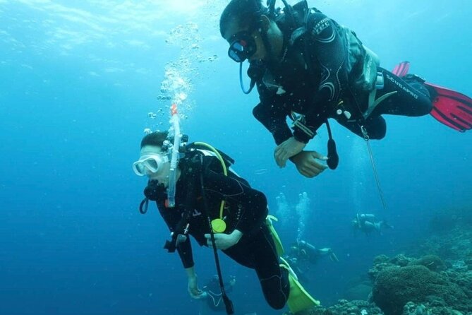 Cebu: Scuba Diving Experience beach entry in Mactan - What this Mactan scuba session is really like