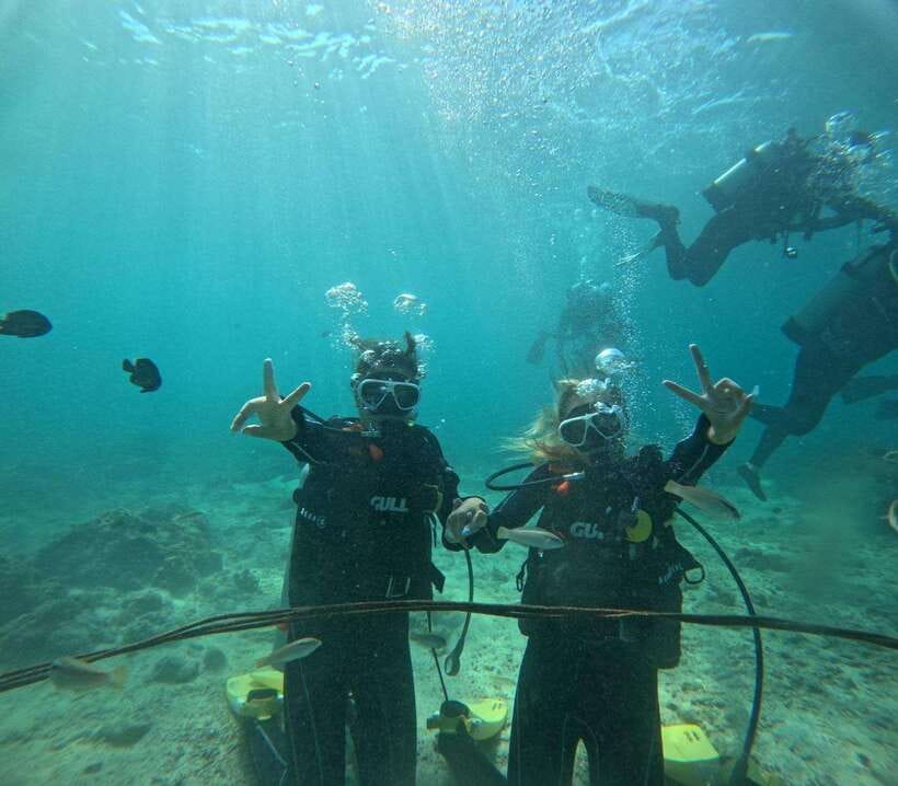 Cebu: Snorkeling + 3 Water Activity Tour - Key points to know before booking