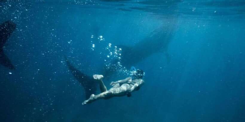 Cebu: Sumilon Sand Bar, Whale Sharks & Sardines Snorkeling - Simple packing advice for this exact day