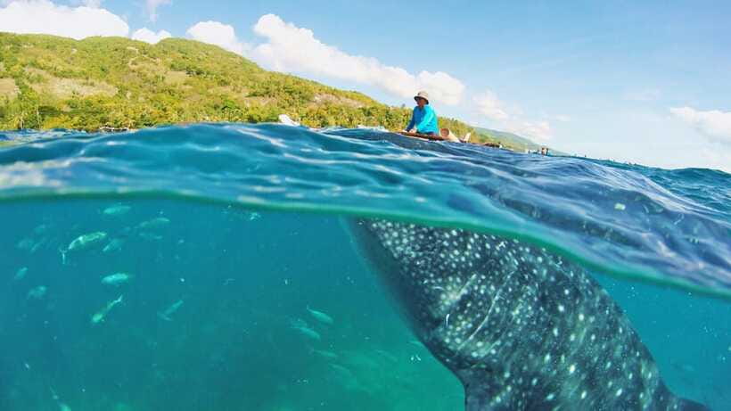 Cebu: Whale Shark Encounter and Kawasan Canyoneering - Getting ready for a wet, active day