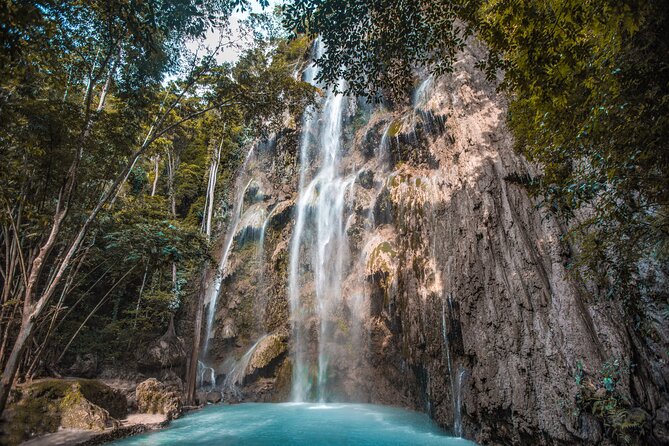 Cebu Whale Shark Encounter, Moalboal Sardines & Tumalog Falls - Oslob whale sharks: thrilling, busy, and worth careful thought