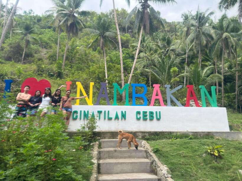 Cebu: Whale Shark, Inambakan Falls & Moalboal Sardine Tour - Key points to know before booking