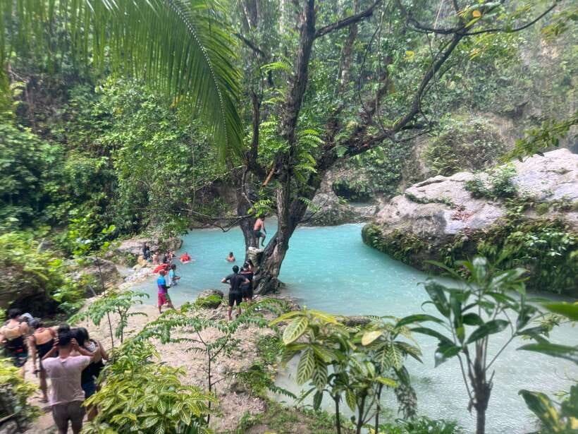 Cebu: Whale Shark, Inambakan Falls & Moalboal Sardine Tour - Swimming with whale sharks in Oslob