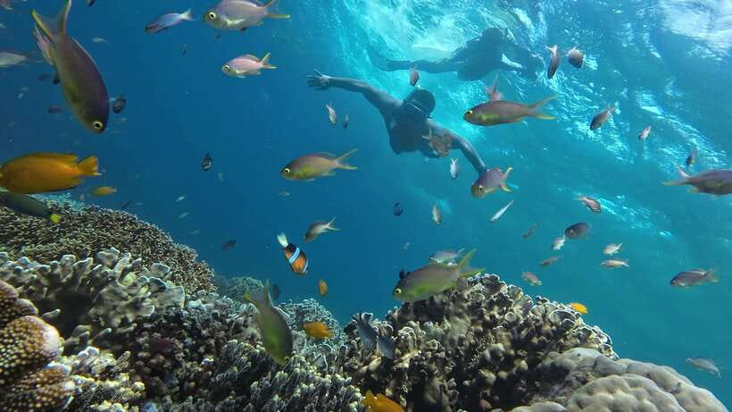 Cebu: Whale Shark, Inambakan Falls & Moalboal Sardine Tour - Inambakan Falls and its turquoise pool