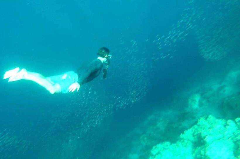 Cebu: Whale Shark, Inambakan Falls & Moalboal Sardine Tour - What to pack for this full day