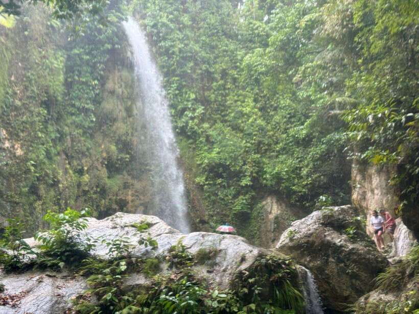 Cebu: Whale Shark, Inambakan Falls & Moalboal Sardine Tour - The 2 a.m. road to Oslob