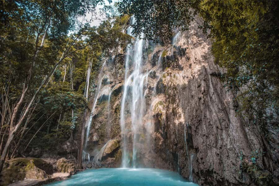 Cebu: Whale Shark, Monkey Sanctuary, & Moalboal Snorkel Tour - Key points to know before booking