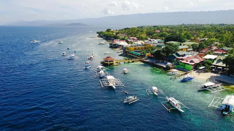 Cebu: Whale Shark, Monkey Sanctuary, & Moalboal Snorkel Tour - The long transfer to Moalboal