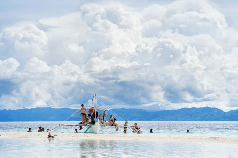 Cebu: Whale Shark, Monkey Sanctuary, & Moalboal Snorkel Tour - Moalboal’s sardines and sea turtles