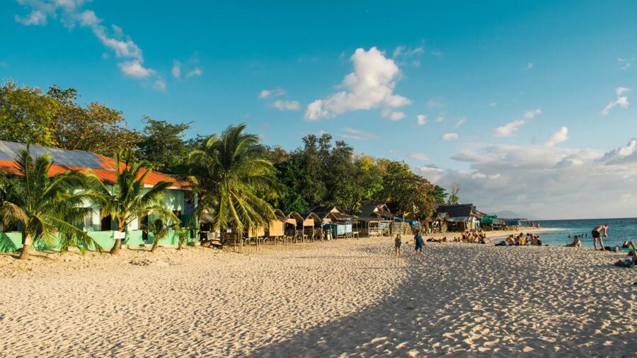 Cebu: Whale Shark, Monkey Sanctuary, & Moalboal Turtles Tour - The long transfer to Moalboal