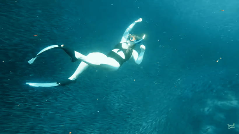 Cebu: Whale Shark Oslob and Moalboal Snorkeling Adventure - Should you book the Oslob and Moalboal tour?