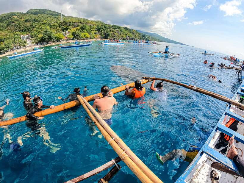 Cebu: Whale Shark Snorkeling & Kawasan Canyoning Tour - The two-hour move to Kawasan Falls