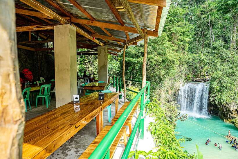 Cebu: Whale Shark Snorkeling & Kawasan Canyoning Tour - Lunch beside Kawasan Falls