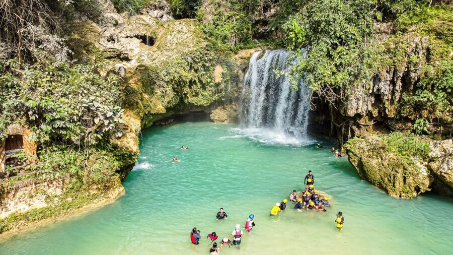Cebu: Whale Shark Snorkeling & Kawasan Canyoning Tour - Guides, language, and group size