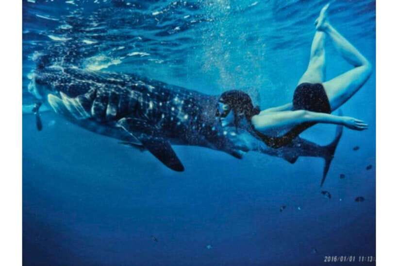 Cebu: Whale Shark Swim and Kawasan Canyoneering Group Tour - What to pack for a wet, active day