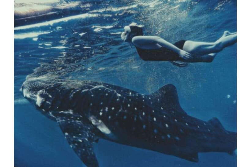 Cebu: Whale Shark Swim and Kawasan Canyoneering Group Tour - The early road to Oslob